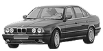 BMW E34 P1451 Fault Code